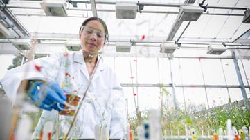 Innovabee Group GmbH & Co. KG: Innovacos