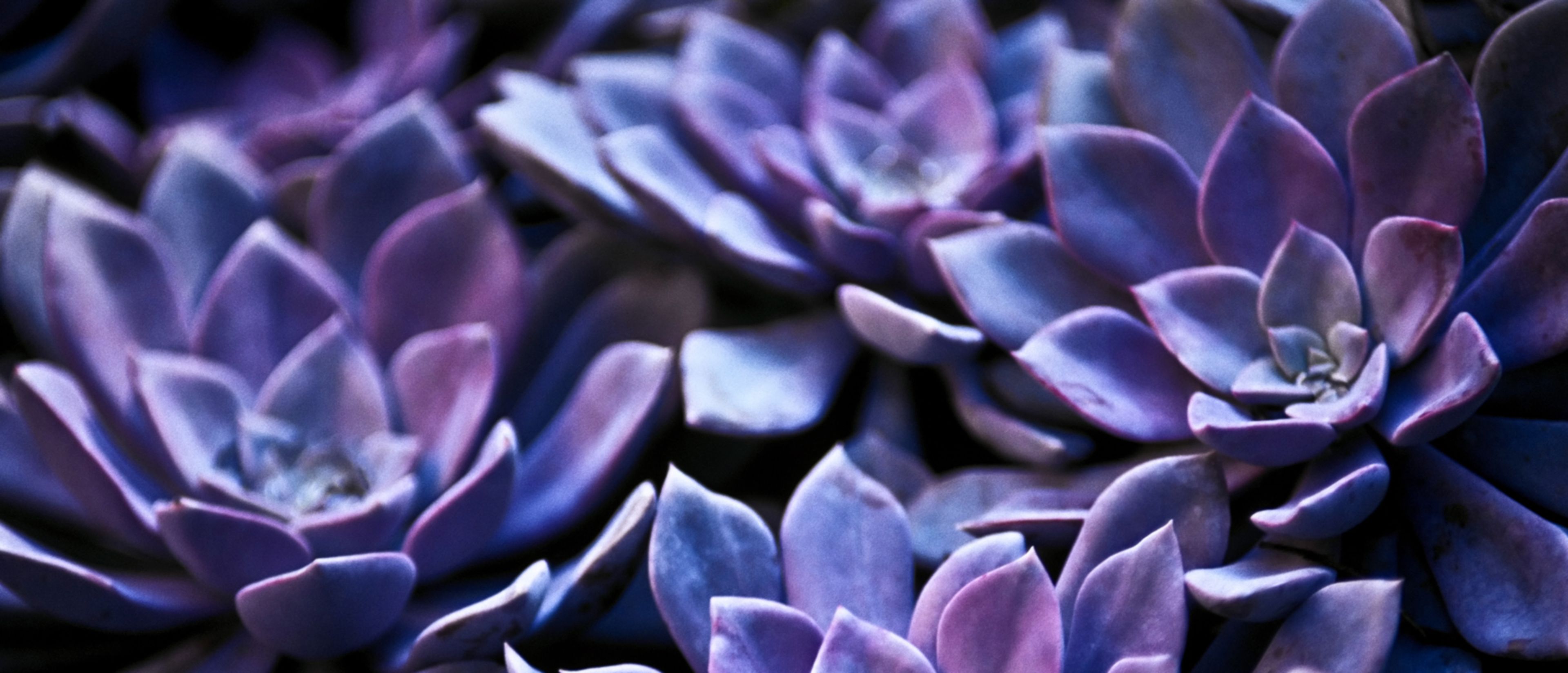 Alcon Extracting and analyzing data from billions of records in the blink of an eye