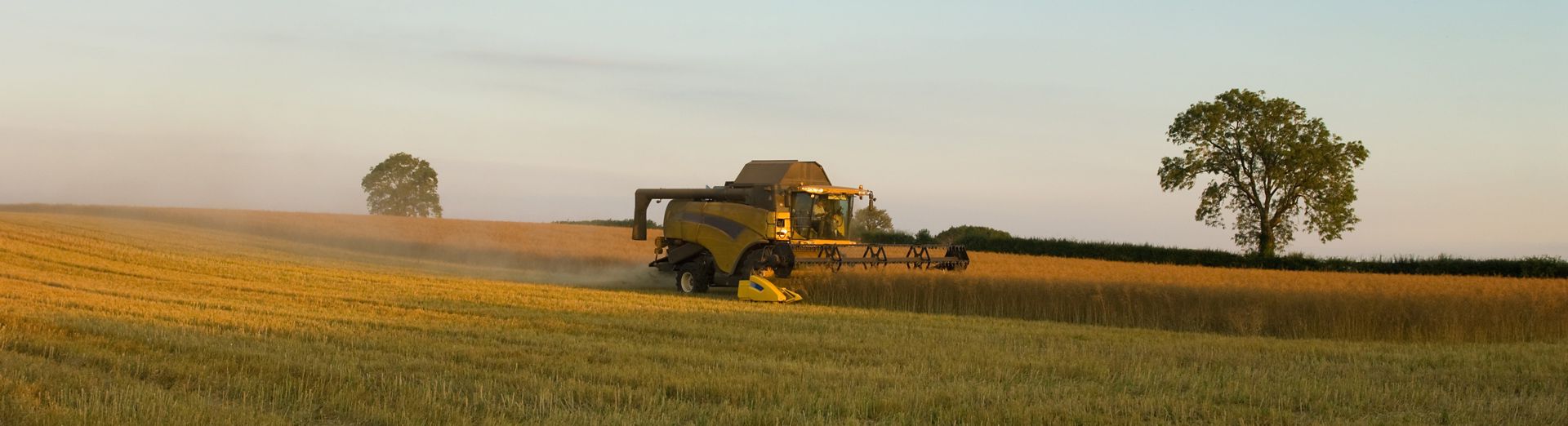Image d'une moissonneuse-batteuse dans un champ de blé, pour symboliser le secteur agroalimentaire