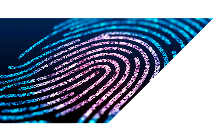  Digital fingerprint on black screen