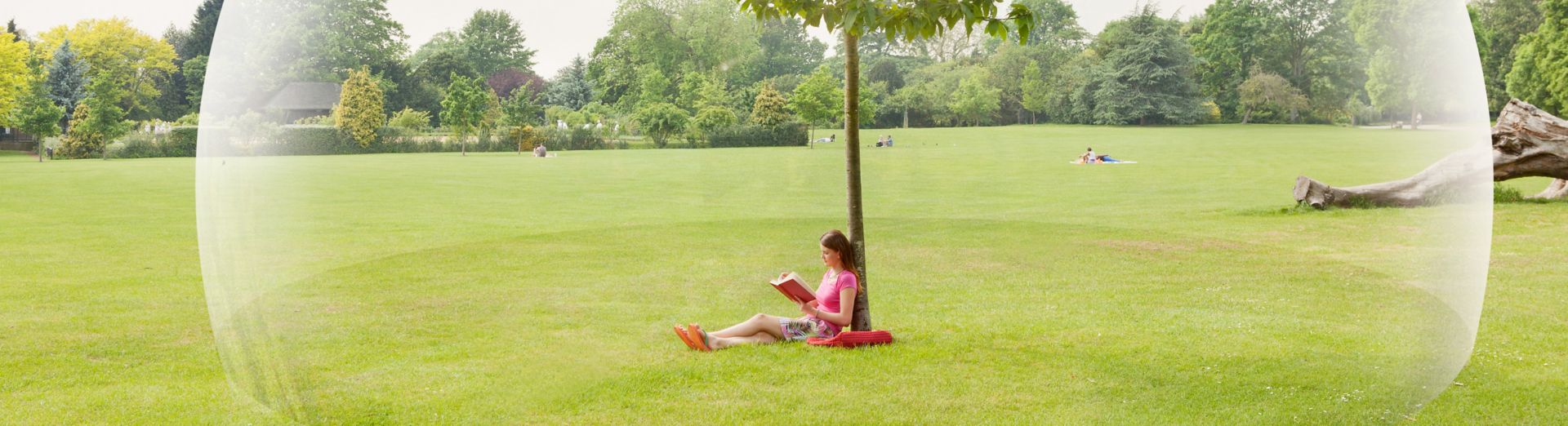 Person sitting under tree, bubble around her