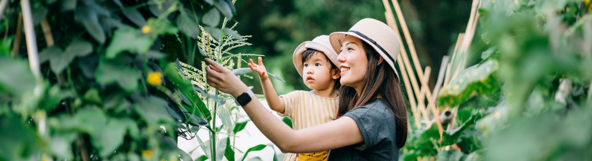 Image of a woman and her daughter picking fruit from a tree