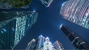 Avvale, Inc.: EasyRISER