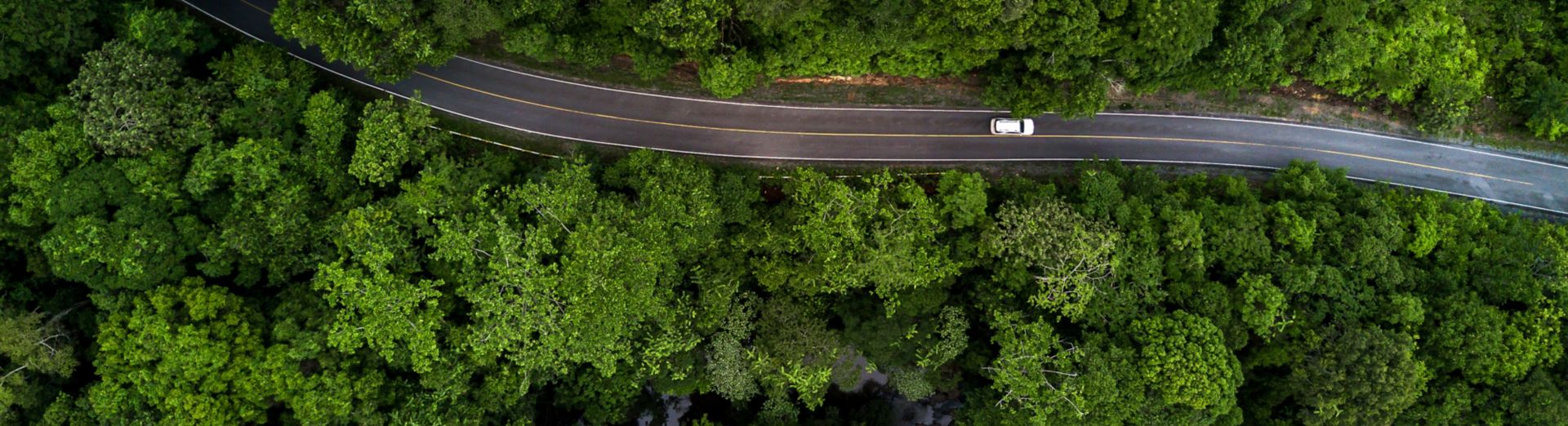 俯瞰图：柏油路和绿色森林，一辆汽车沿着穿过森林的道路行驶，象征生态系统和生态健康的环境理念与背景 