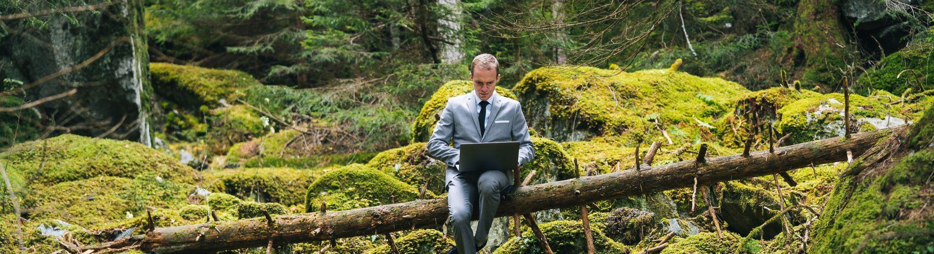 Man using laptop in the middle of a forest