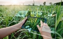  Ženský poľnohospodársky pracovník pomocou digitálneho tabletu s virtuálnou realitou Umelá inteligencia