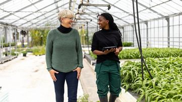  Proprietária e gerente de estufa comercial