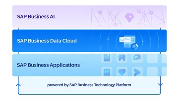 Image 2: SAP Business Suite graphic