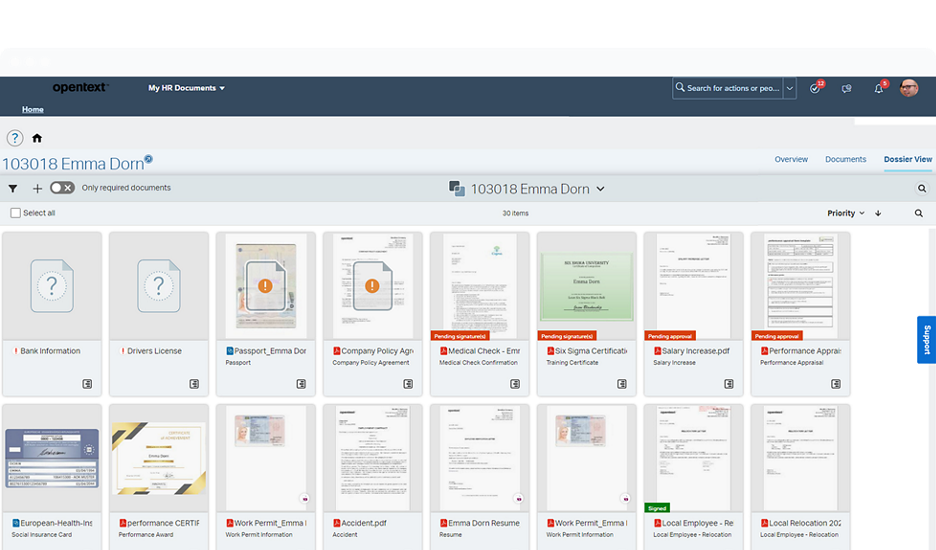Dossier view in SAP SuccessFactors Document Management Core by OpenText